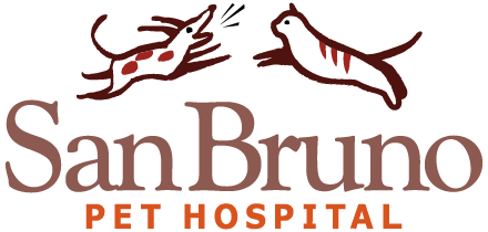 San Bruno Pet Hospital